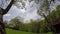 Cloud, field of spring grass and mountain