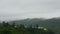 Cloud floating over a village and mountain. Misty fog blowing over tree forest. Raining forest, foggy on the canopy in rainforest