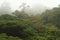 Cloud forest in Costa Rica