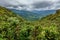 Cloud forest covering Bosque Nuboso Monteverde, Costa Rica