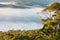 Cloud inversion above tropical rainforest in Tamborine National Park