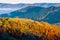 cloud inversion in mountains. carpathian autumn landscape