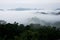 Cloud layer mountain view rain forest