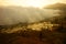 Cloud of mist entering and covering a rice field at sunset in China.