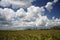 Cloud Over the Kissimmee Prairie