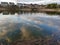 Cloud reflections on surface of small pond with homes on the horizon