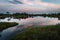 Cloud reflections in the swamp lake