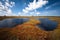 Cloud reflections in the swamp lake