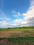 Cloud,The rice fields that are being visited by the Clouds