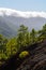 Cloud waterfall phenomenon at La Palma island, Spain near viewpoint Cumbrecita