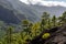 Cloud waterfall phenomenon at La Palma island, Spain near viewpoint Cumbrecita