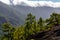 Cloud waterfall phenomenon at La Palma island, Spain near viewpoint Cumbrecita