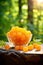 Cloudberry berries in a bowl against the backdrop of the garden. Selective focus.