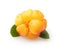 Cloudberry Berry isolated