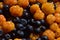 Cloudberry with a blueberry wild berries fruit background