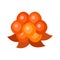 Cloudberry flat style vector illustration. Fresh berry on white background.