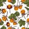 Cloudberry seamless pattern background hand drawn color vector illustration.