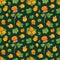 Cloudberry seamless pattern. Northern berries on a dark background.