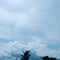 Clouds above coconut trees