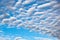 Clouds of an average tier high cumulus, on a blue background of the sky