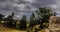 Clouds behind pine trees on Rocky Mountains