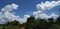 Clouds and blue sky and red water pond and tree