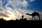 CLOUDS AND CAMEL IN SILHOUETTE BIKANER