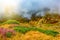 Clouds cover mountain meadow.