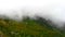 Clouds descending on Alpine meadows. Krasnaya Polyana.