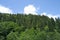 Clouds and forest in Camlihemsin, Rize, Turkey.