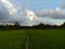 Clouds and the greeny field
