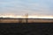 Clouds on the horizon in the last rays of the setting sun over dry reeds, trees without leaves and plowed field