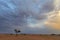 Clouds in late afternoon light in the desert