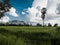 Clouds over covered tropical forest and lake landscape on palm trees background