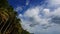 Clouds over palm trees long time lapse