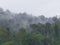 Clouds over tropical jungle in Kuala Tahan (Taman Negara National Park in Malaysia)