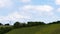 Clouds over vineyard time lapse