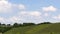 Clouds over vineyard time lapse