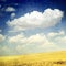 Clouds Over Yellow Fields (grunge image)