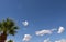 Clouds and palm tree