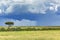 Clouds with rain shower over the savannah in the wet season at Masai Mara, Kenya