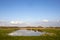 Clouds reflected in a pond in the wetlands of the Naardermeer in the Netherlands, Holland