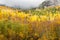 Clouds roll into valley of brilliant fall colored forest bewteen high rocky bluffs