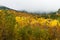 Clouds roll into valley of brilliant fall colored forest bewteen high rocky bluffs