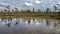 Clouds in sky over forest and lake