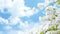 clouds sky spring background