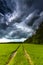 Clouds storm over the field