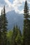 Clouds, Teton Mountains, and pine forest, Jackson Hole, Wyoming.