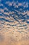 Cloudscape with altocumulus clouds