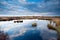 Cloudscape on blue sky over swamps